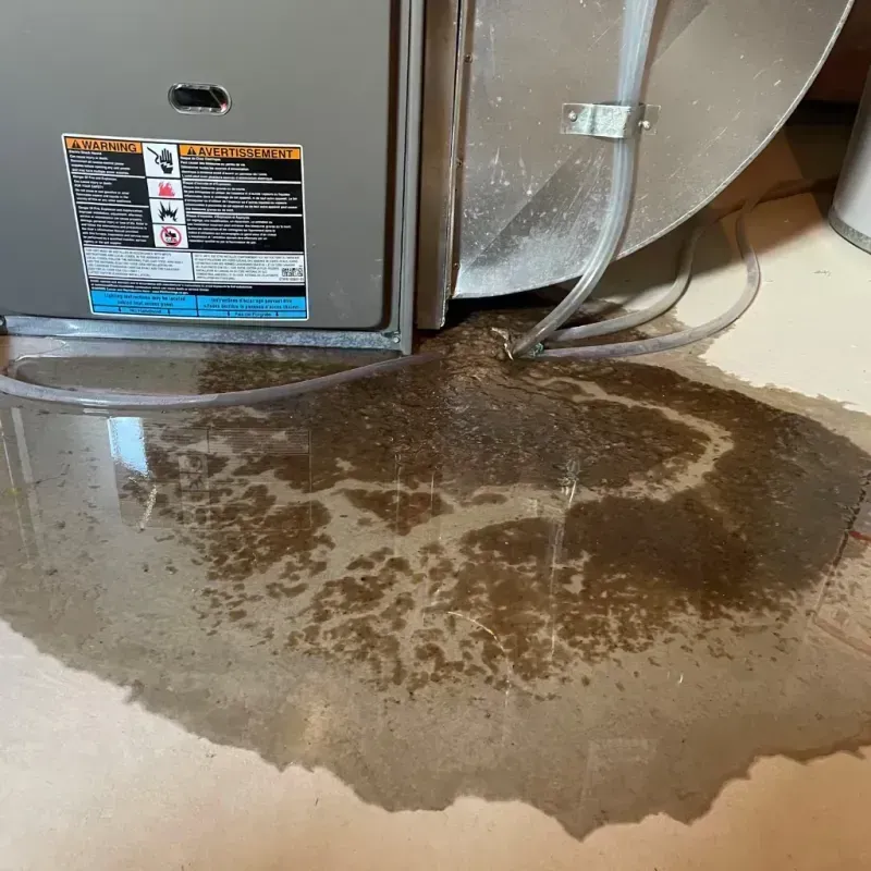 Appliance Leak Cleanup in Oneonta, NY